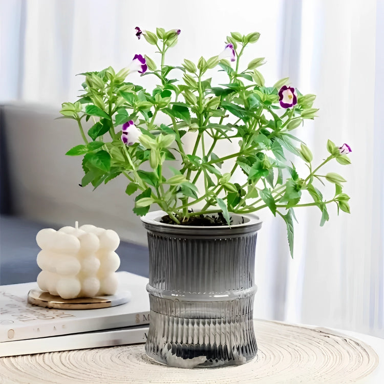 Self-watering Hydroponic Planter