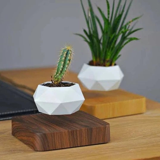 AirVase™ floating planter